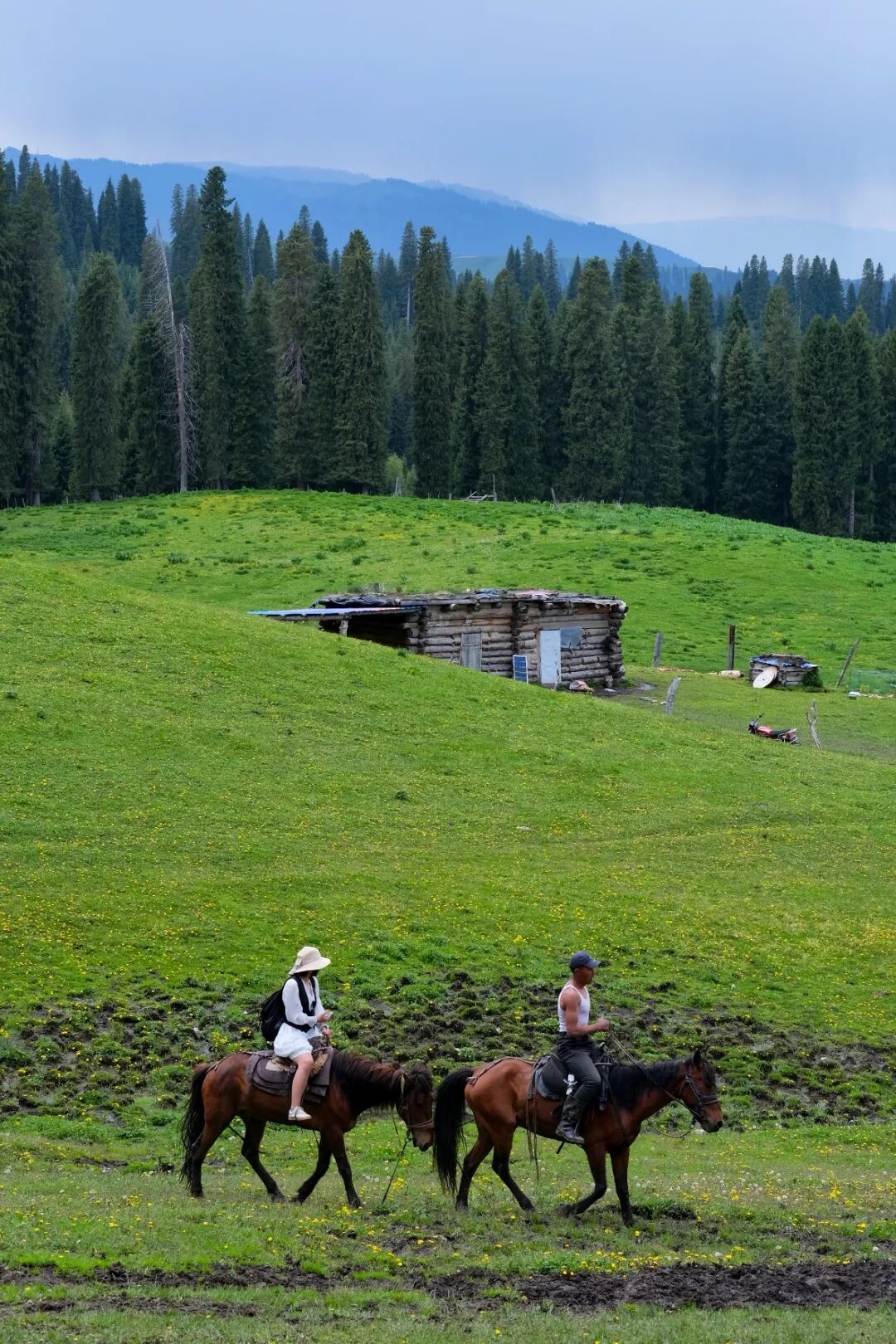 伊犁旅游必去的地方_伊犁必去的十大景点_伊犁必去景点