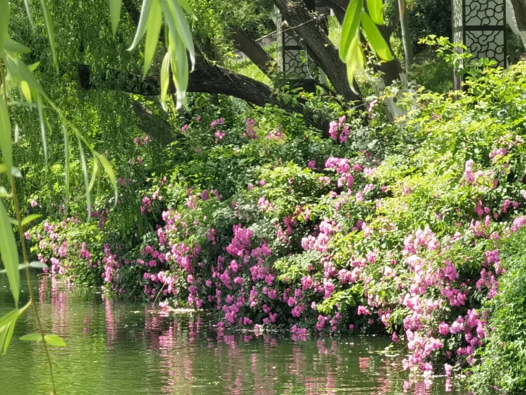 不动动一站工行新模合肥产登记式式正式启分行服务