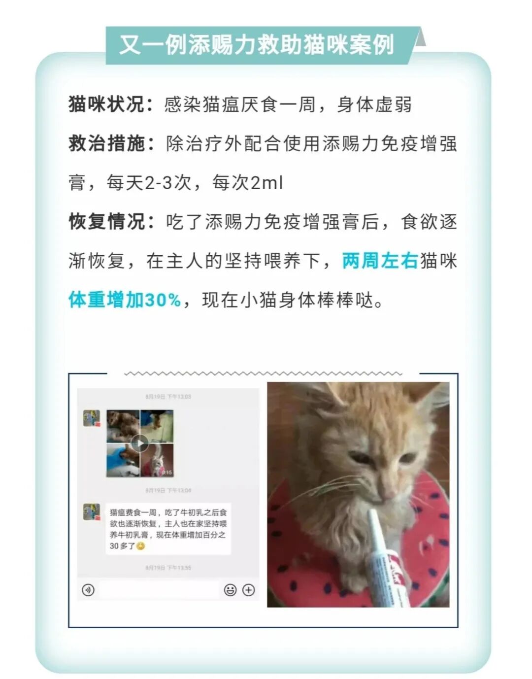 添赐力：提高新生儿成活率、免疫力- 猫学堂 微信公众号文章阅读- WeMP