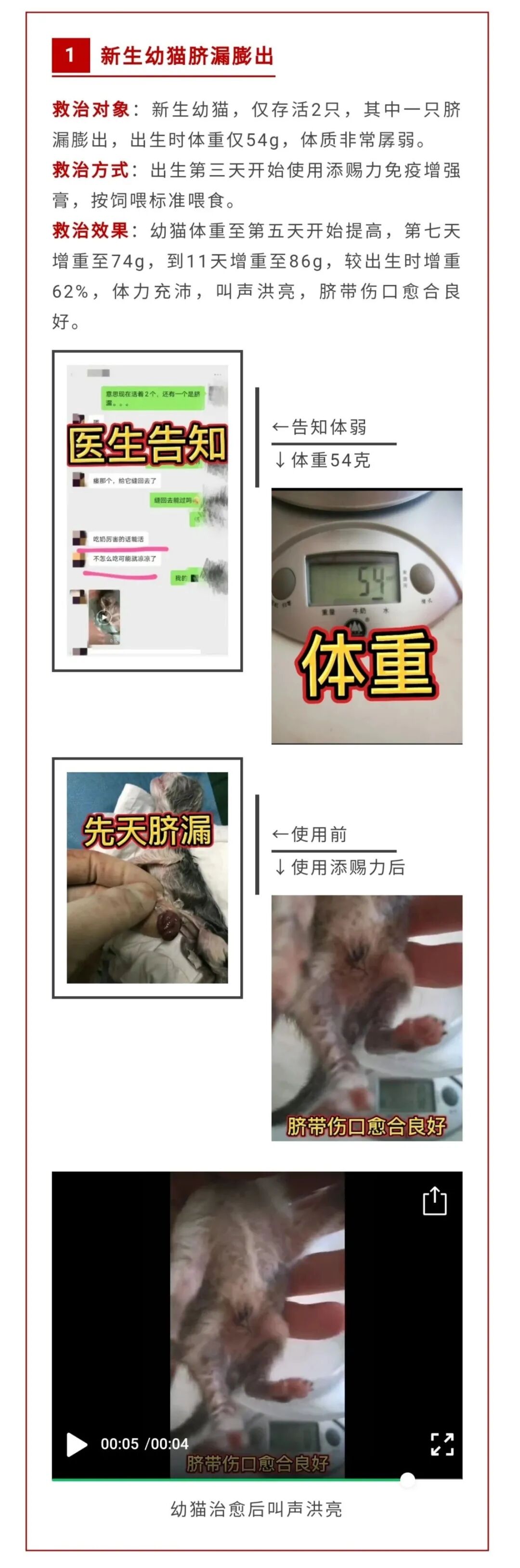 添赐力：提高新生儿成活率、免疫力- 猫学堂 微信公众号文章阅读- WeMP