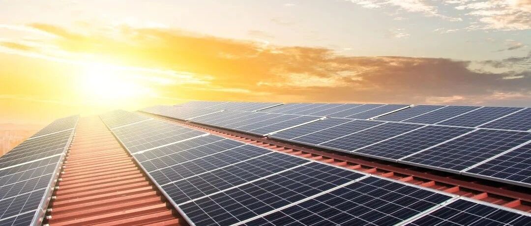 谁是大赢家？硅料硅片电池巨头业绩出炉