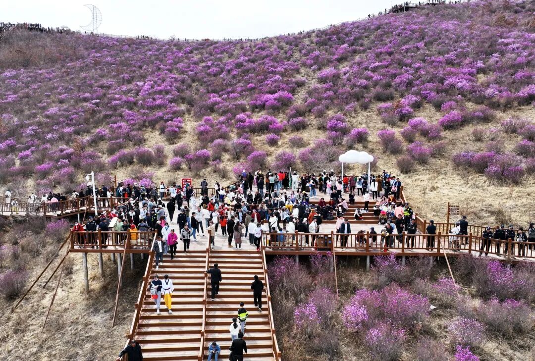 今年,为了更好地宣传推广扎兰屯市文旅资源,提升城市形象,扎兰屯市