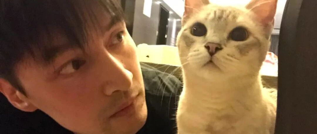 不会吧，胡歌都被收了？