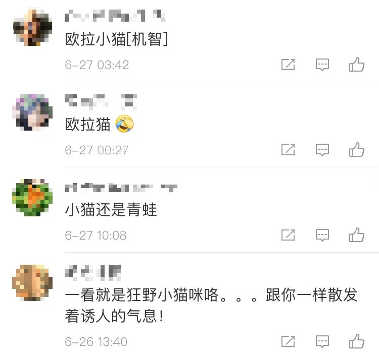 不會吧，胡歌都被收了？ 寵物 第28張