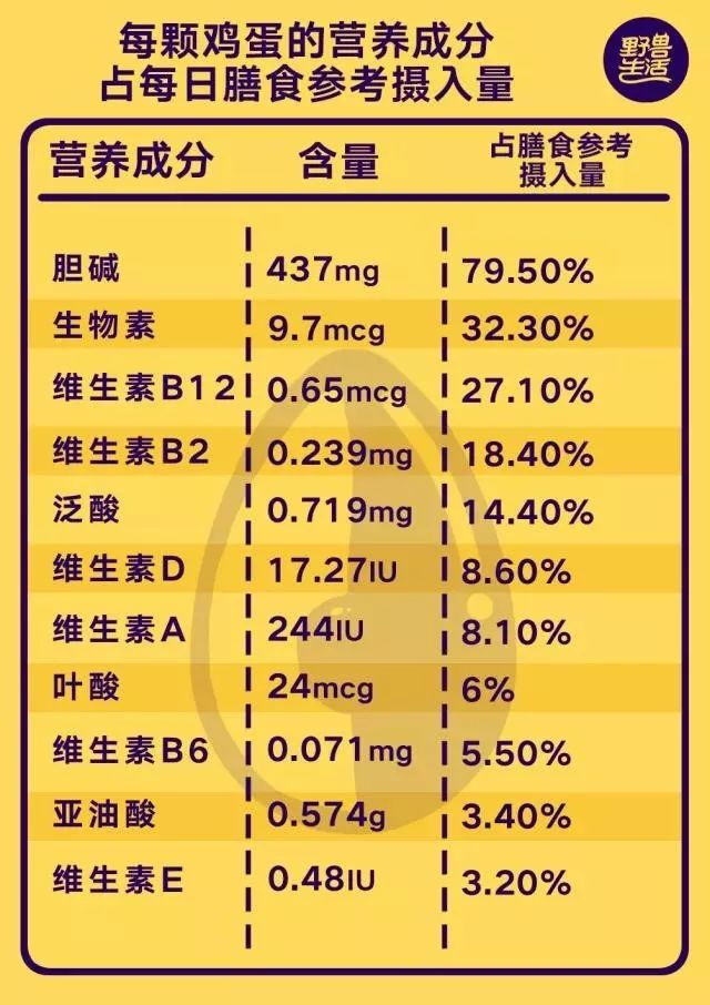 吃雞蛋膽固醇會高？這個說法竟來自100年前的兔子實驗！真相是這樣…… 健康 第3張