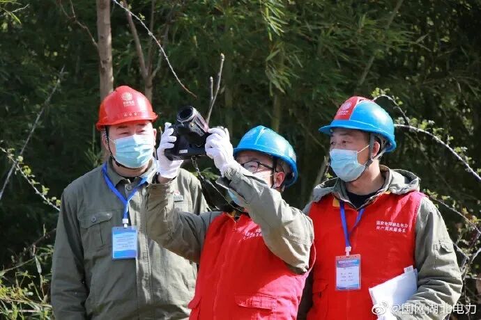 【检测】变电站变压器套管红外检测99%的人都不知道！超全！的图9