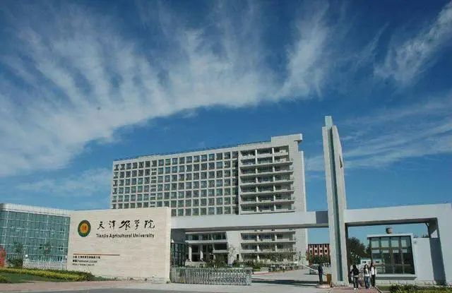 天津二本大學(xué)排名及分?jǐn)?shù)線(xiàn)_天津的二本大學(xué)_天津二本大學(xué)開(kāi)學(xué)時(shí)間