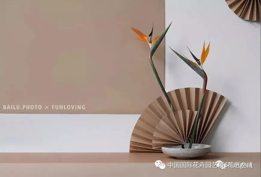 一场花艺的饕餮盛宴，第21届中国国际花卉园艺展览会花艺表演亮点抢先看