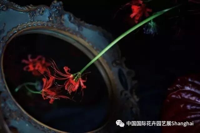 一场花艺的饕餮盛宴，第21届中国国际花卉园艺展览会花艺表演亮点抢先看