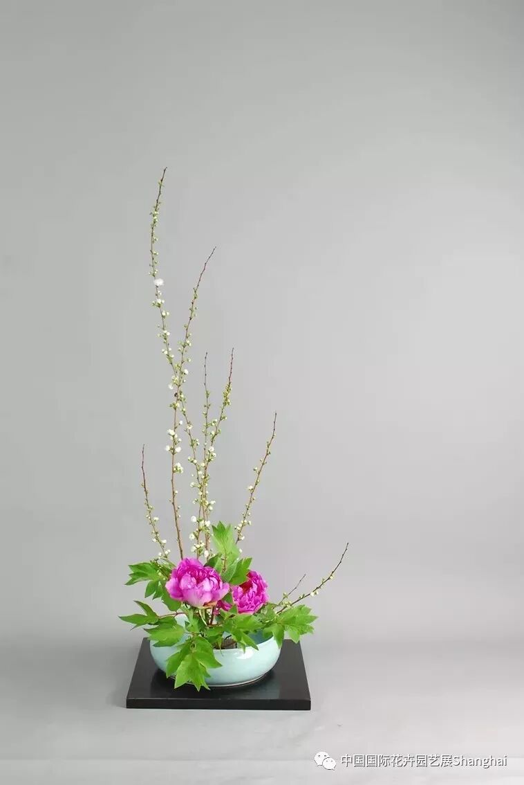 一场花艺的饕餮盛宴，第21届中国国际花卉园艺展览会花艺表演亮点抢先看