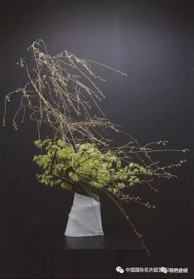 一场花艺的饕餮盛宴，第21届中国国际花卉园艺展览会花艺表演亮点抢先看