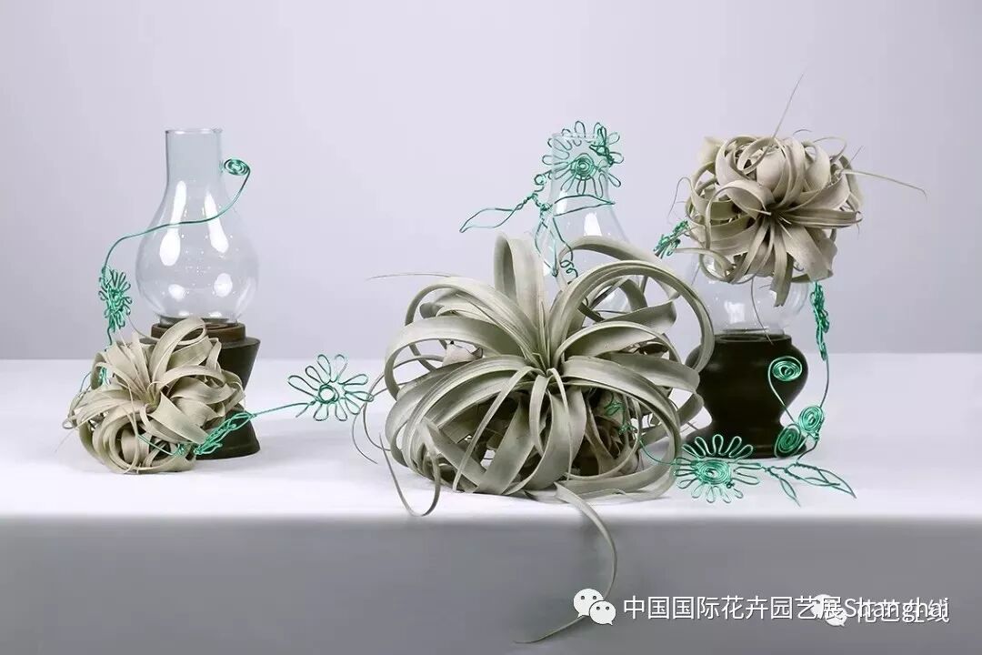 一场花艺的饕餮盛宴，第21届中国国际花卉园艺展览会花艺表演亮点抢先看