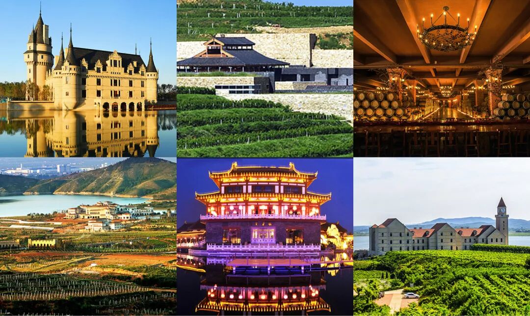 跨越山海，仙境佳酿与你相约，2019烟台产区巡展天津站开启