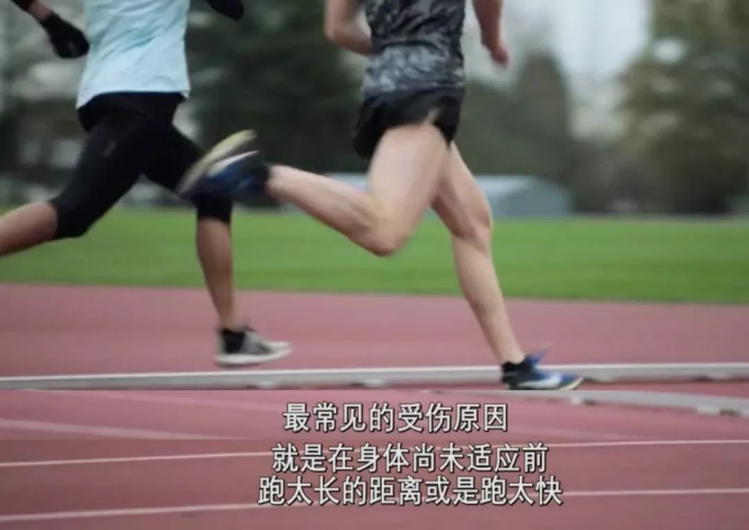 BBC 紀錄片《健身的真相》：跑步不傷膝蓋，散步才更傷 運動 第53張