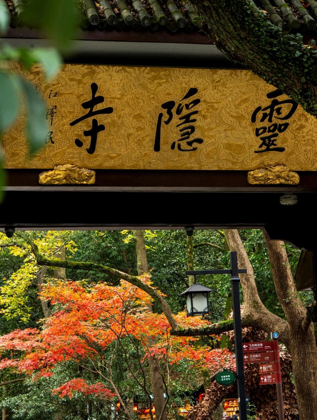 故事｜被遗弃的弟弟