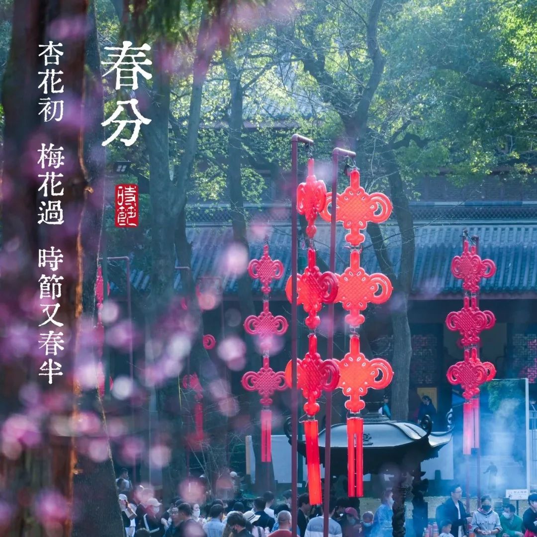 二十四节气｜春分——天将小雨交春半 谁见枝头花历乱