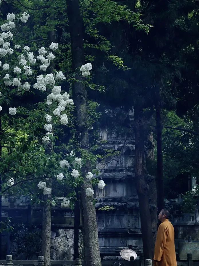 禅诗欣赏——处处逢头路 头头是故乡