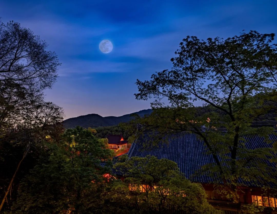 学处｜中秋一夜月 露洒满林珠