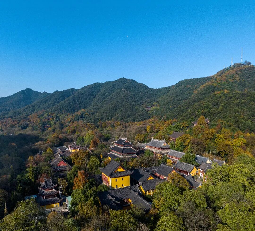 学处｜无有众苦 但受诸乐——一起来看看极乐世界的十种快乐（下）