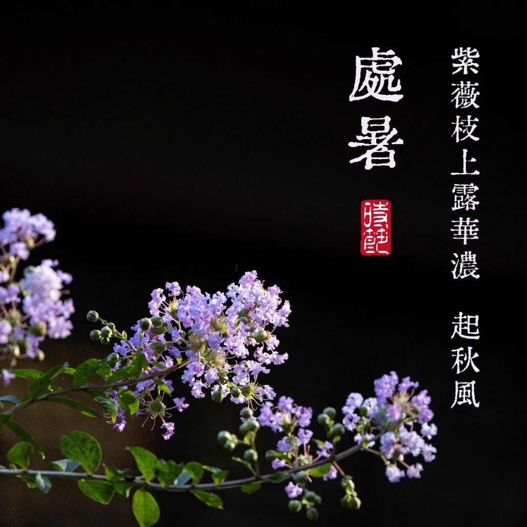 二十四节气｜处暑——新凉直万金