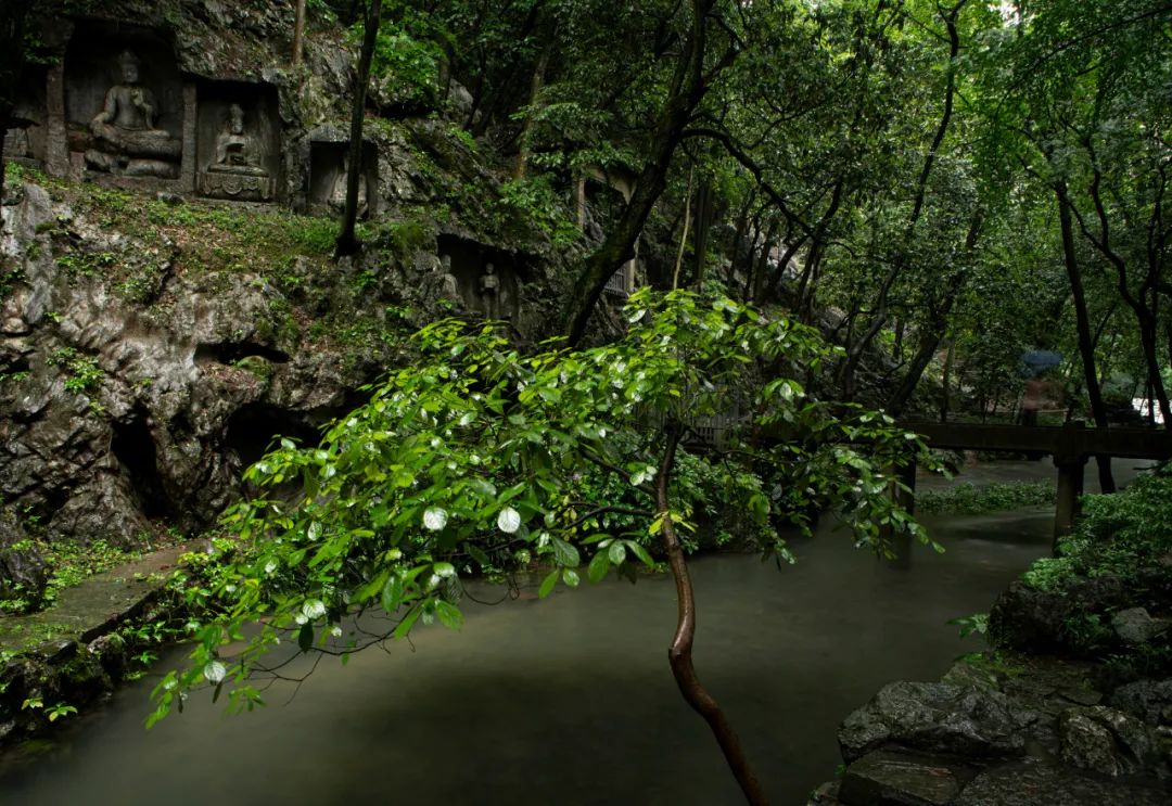 禅诗欣赏——山水空流山自闲