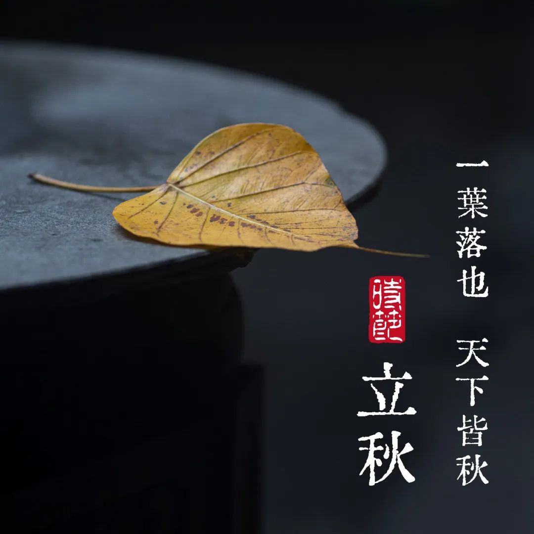 二十四节气｜立秋——萧飒凉风与衰鬓 谁教计会一时秋