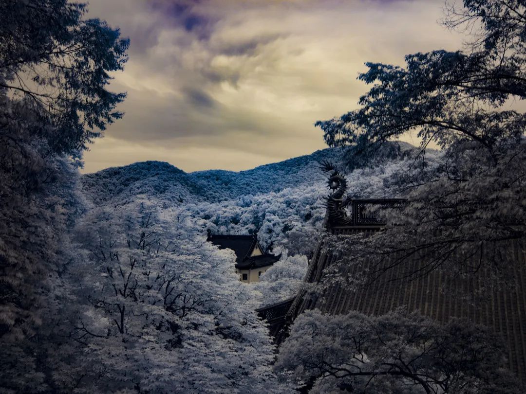 禅诗欣赏——隔牖风惊竹 开门雪满山