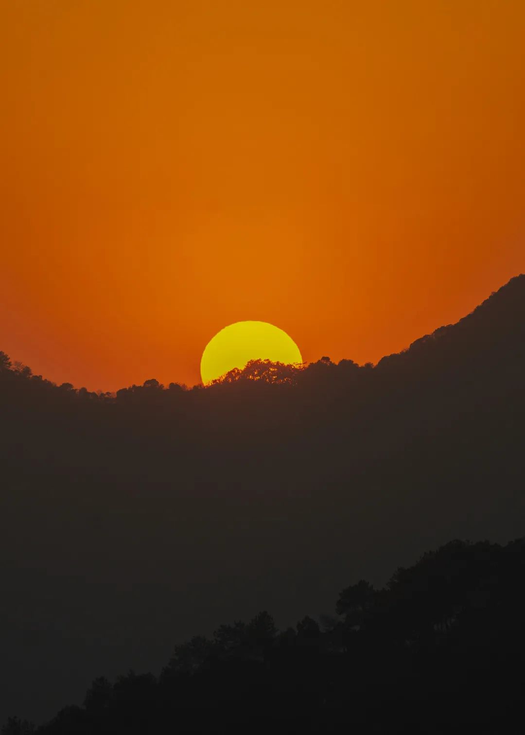 禅诗欣赏——回头日望家山远 满目空云带夕阳