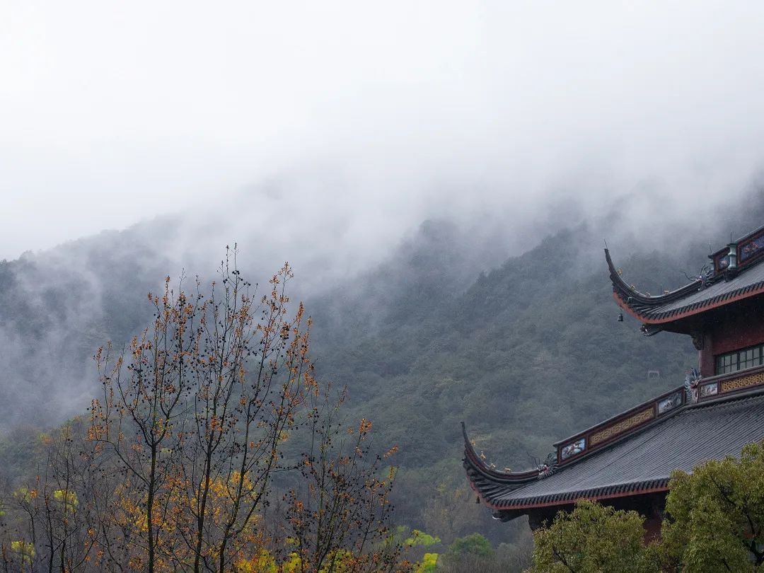 禅诗欣赏——庐山烟雨浙江潮