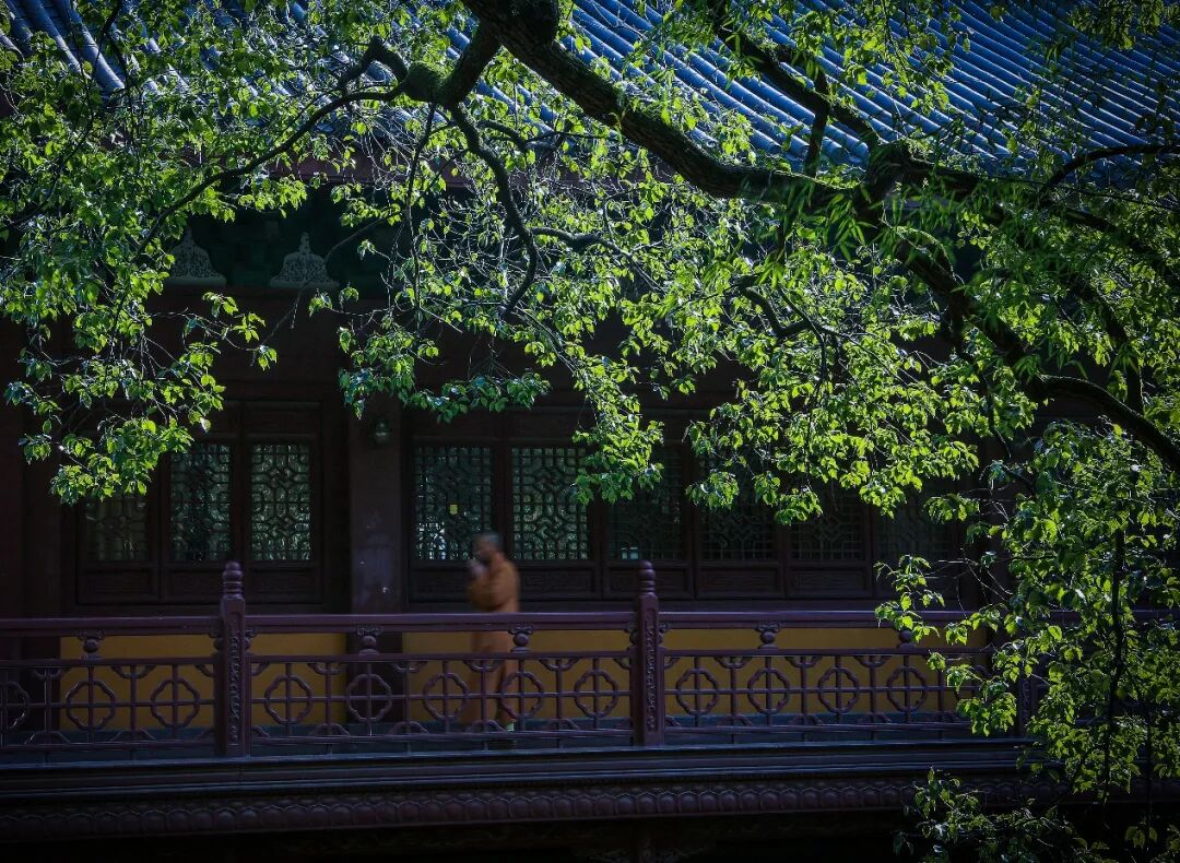 开示｜弘一大师：普劝净宗道侣兼持诵地藏经