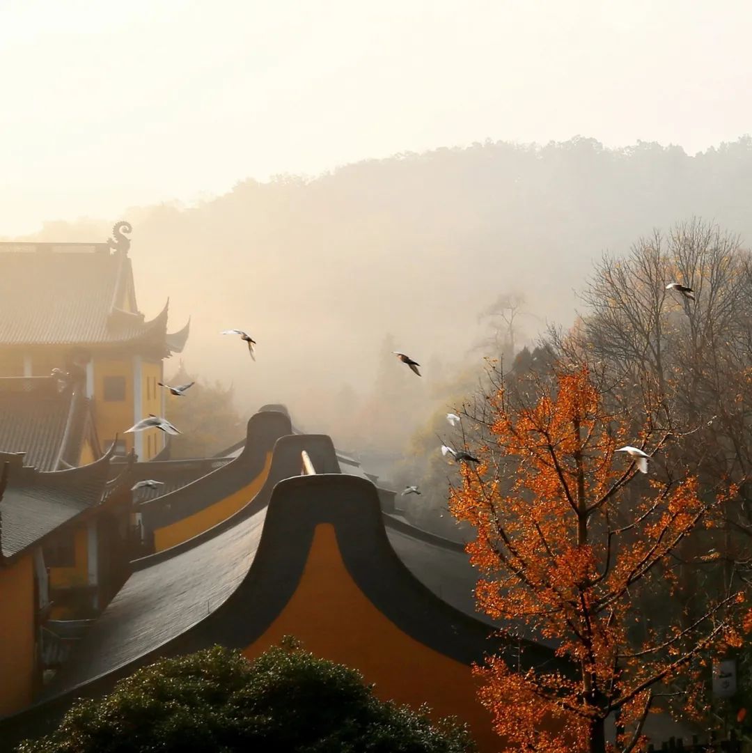 藏识｜“溪山处处皆可庐，最爱灵隐飞来孤”——宋代诗词中的灵隐寺