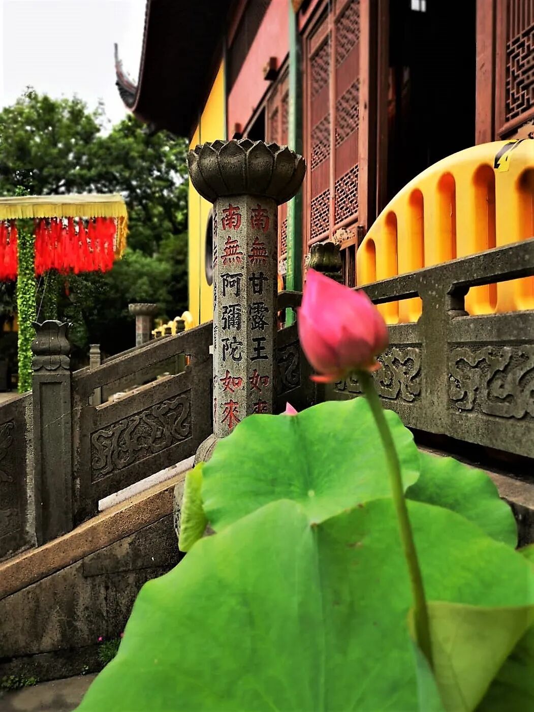 灵隐寺在杭州哪里_杭州灵隐管理处_杭州灵隐门票价格