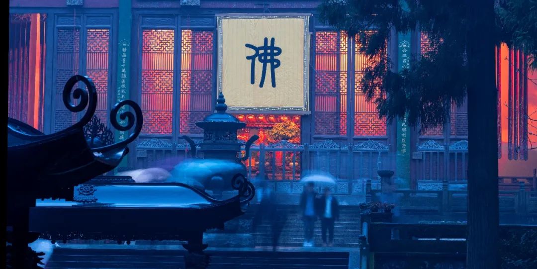 故事｜三摩竭的智慧（下）