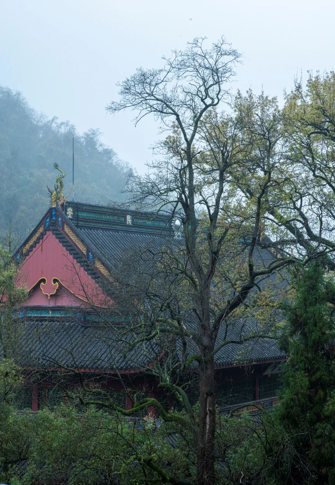 开示｜太虚大师：人生之解析