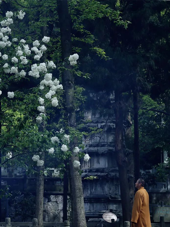 开示｜倓虚法师：破无明见法性