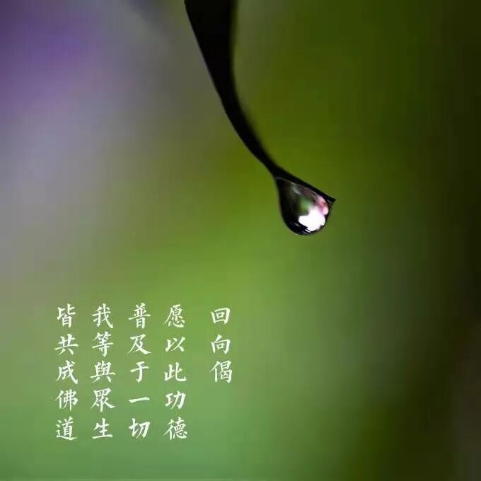 五月十三 伽蓝菩萨圣诞