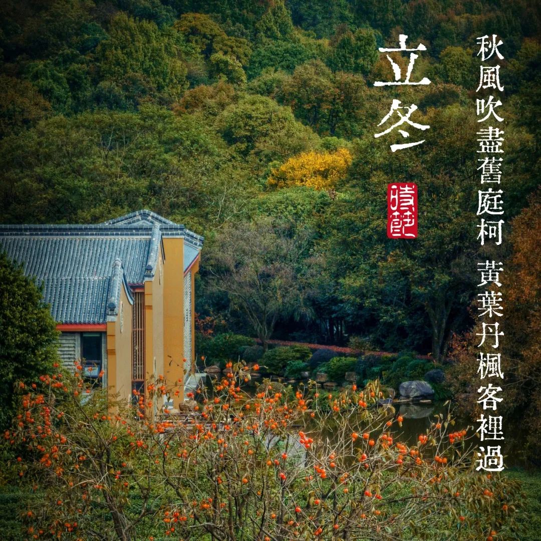 二十四节气｜立冬——天水清相入 秋冬气始交