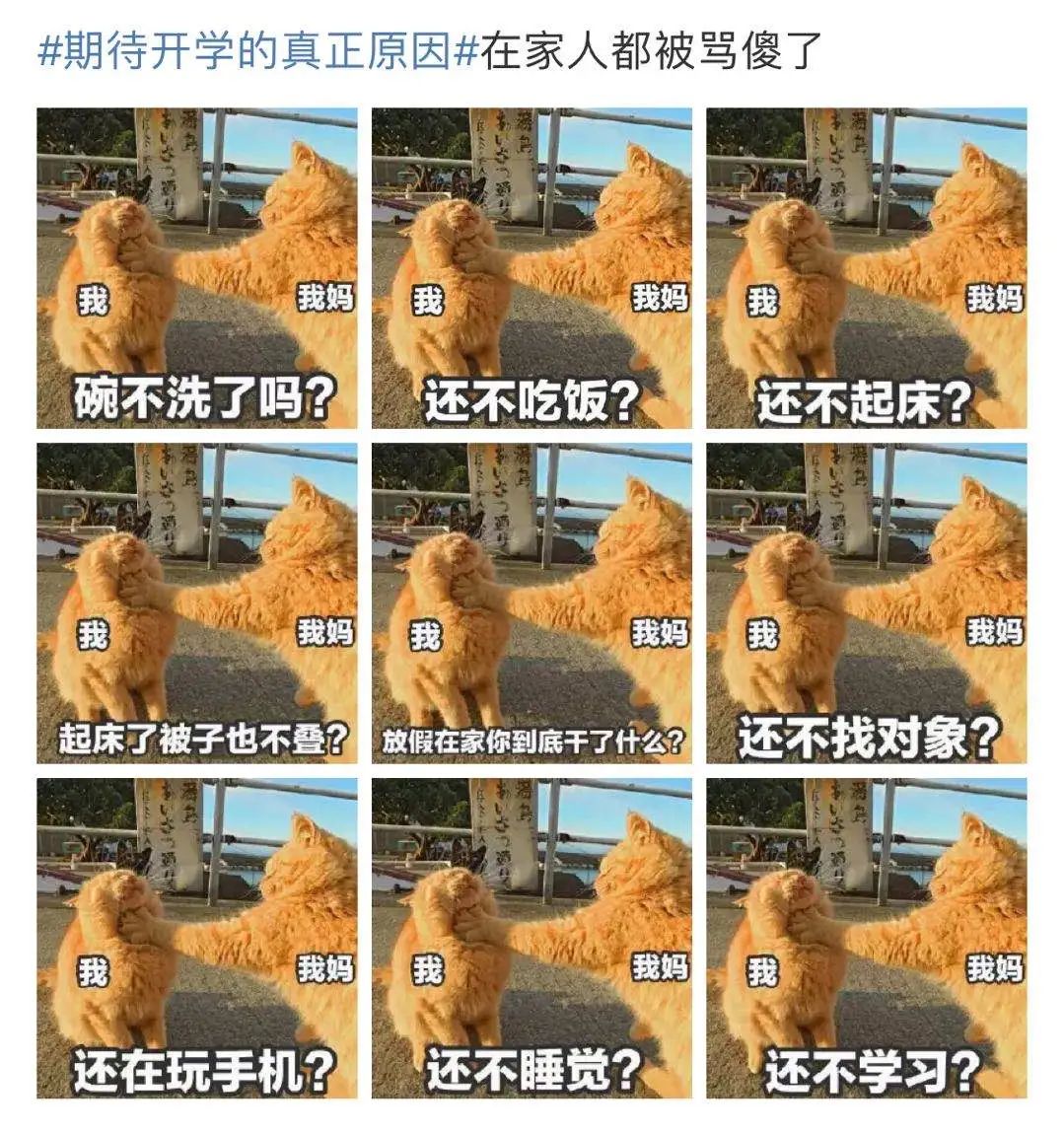 https://image.ipaiban.com/upload-ueditor-image-20200313-1584091826563069068.jpg