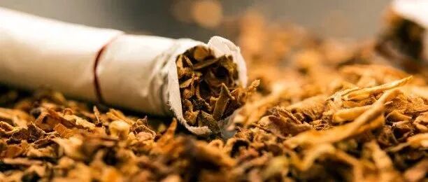 医用弹性绷带怎么使用自粘弹性绷带｜何时需要它？随时都需要它！_https://www.jmylbn.com_新闻资讯_第19张