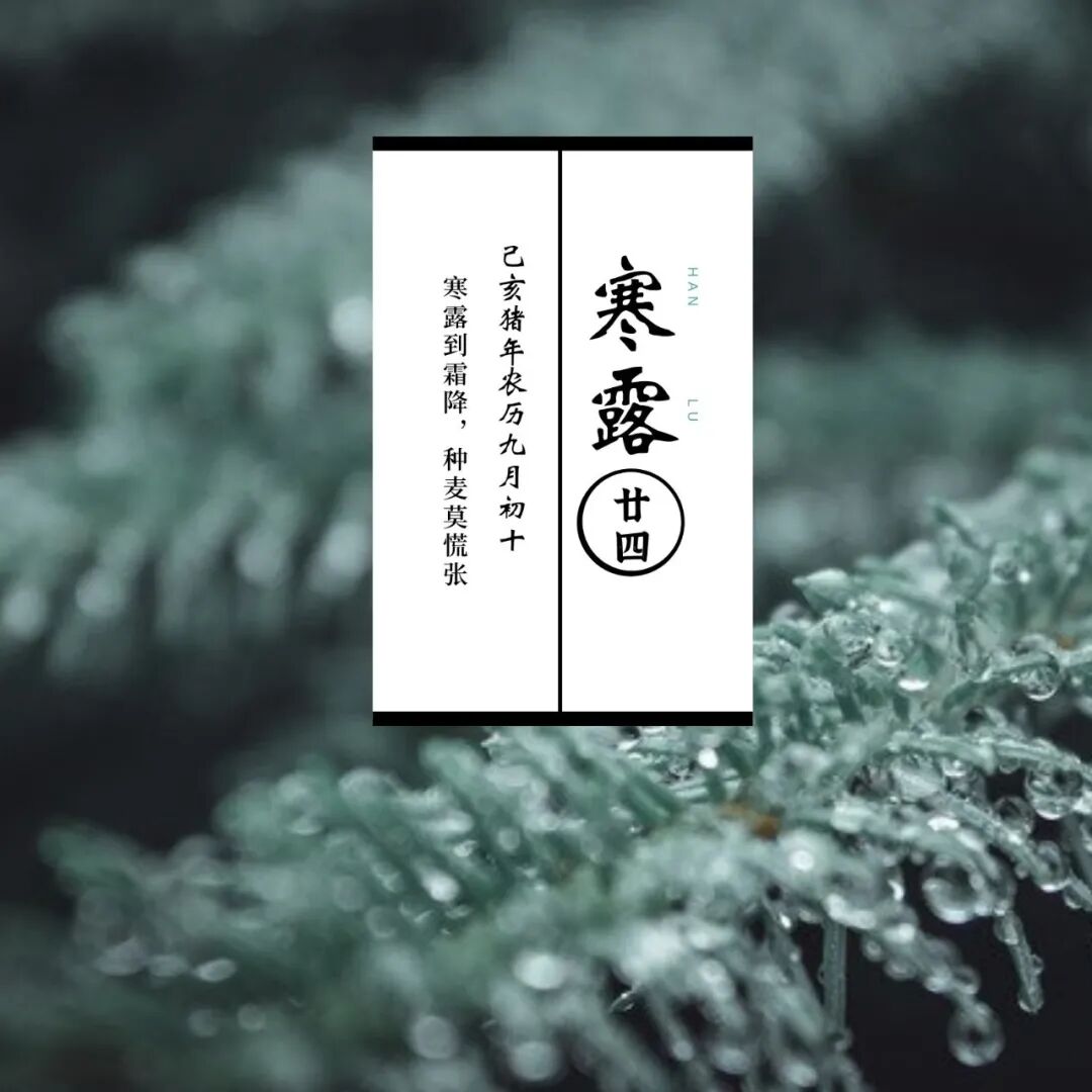 酒精棉签有什么用酒精棉签二合一，日常消毒总相宜_https://www.jmylbn.com_新闻资讯_第22张