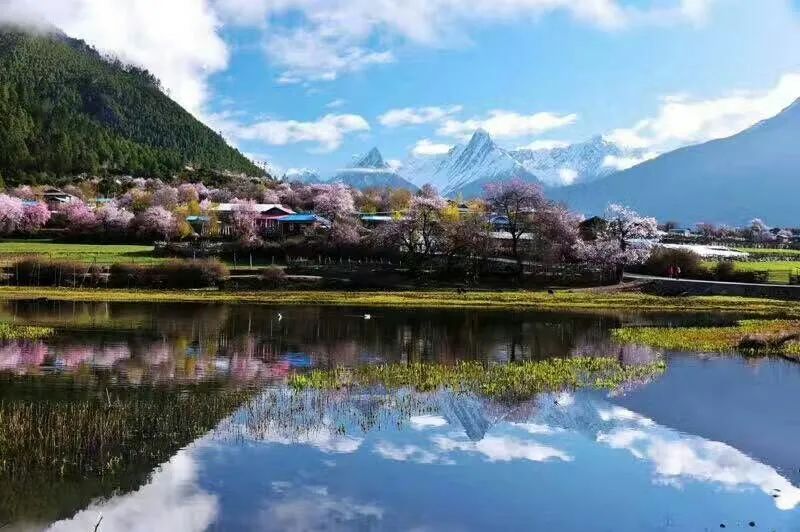 西藏旅行日記：我勸你千萬別想著省錢！ 旅遊 第3張