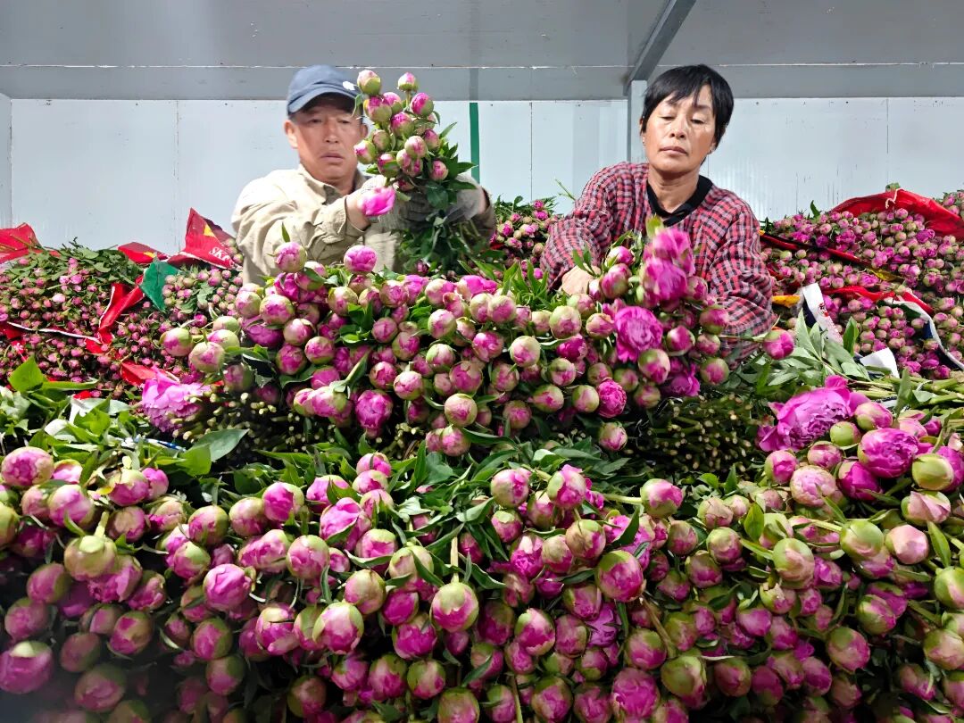3__(分离图)1400893(4393986)-20260507085939.jpg