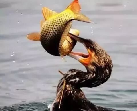 环保，又是环保，汽修老板这两年，全是泪~~~~