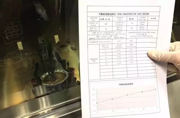 100万实验室日本极客小哥实测。新装修治理，除了开窗通风，你是否会用绿萝、果皮、活性炭等除甲醛？