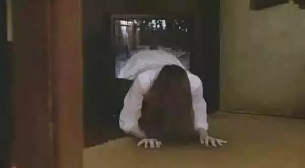 100万实验室日本极客小哥实测。新装修治理，除了开窗通风，你是否会用绿萝、果皮、活性炭等除甲醛？