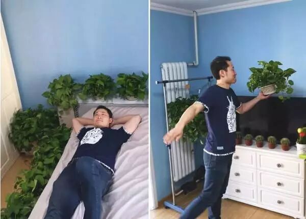 100万实验室日本极客小哥实测。新装修治理，除了开窗通风，你是否会用绿萝、果皮、活性炭等除甲醛？