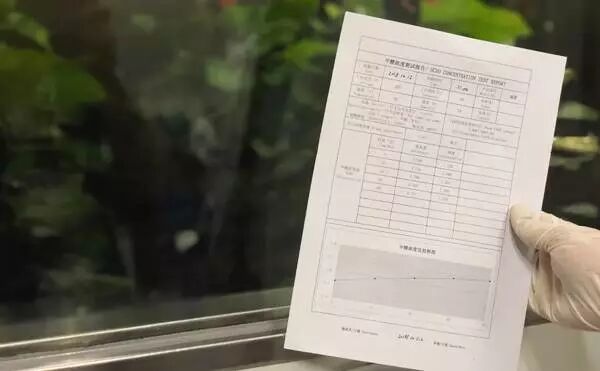 100万实验室日本极客小哥实测。新装修治理，除了开窗通风，你是否会用绿萝、果皮、活性炭等除甲醛？