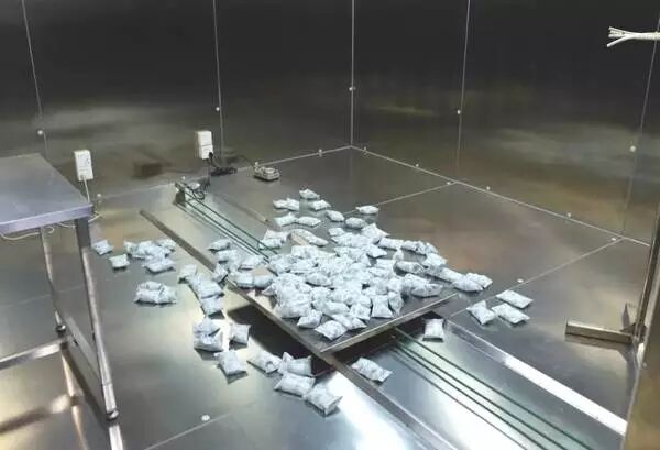 100万实验室日本极客小哥实测。新装修治理，除了开窗通风，你是否会用绿萝、果皮、活性炭等除甲醛？