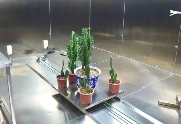 100万实验室日本极客小哥实测。新装修治理，除了开窗通风，你是否会用绿萝、果皮、活性炭等除甲醛？