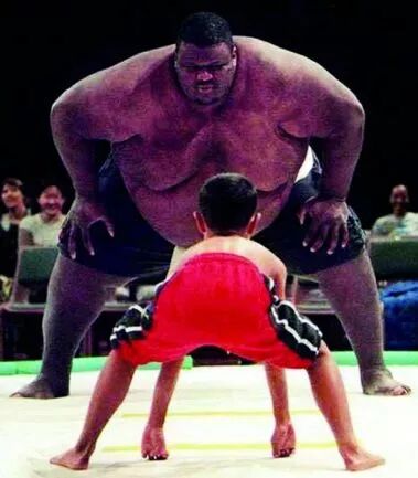 100万实验室日本极客小哥实测。新装修治理，除了开窗通风，你是否会用绿萝、果皮、活性炭等除甲醛？